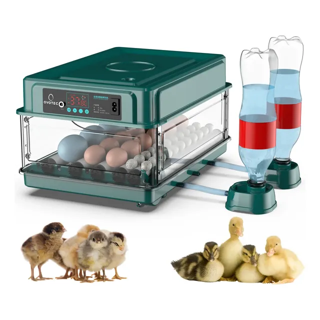 Chocadeira Automática Até 30 Ovos + Ovoscópio - Incubadora
