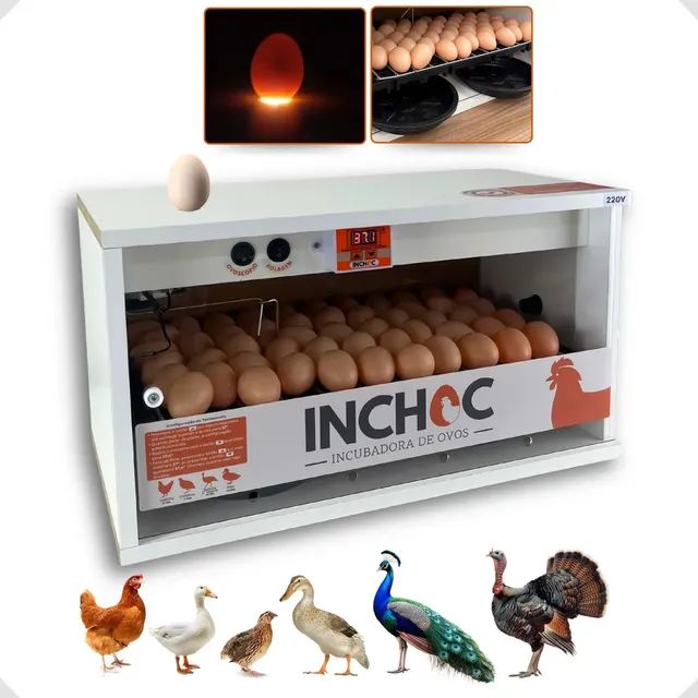 Chocadeira 50 Ovos Galinha Rolagem Automatica + Ovoscopio Branco 220v