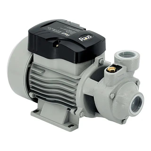 Bomba D' Água Periférica 1/2 Cv Poço Irrigação Bp375 Razi Cor Cinza Fase Elétrica Monofásica 127v