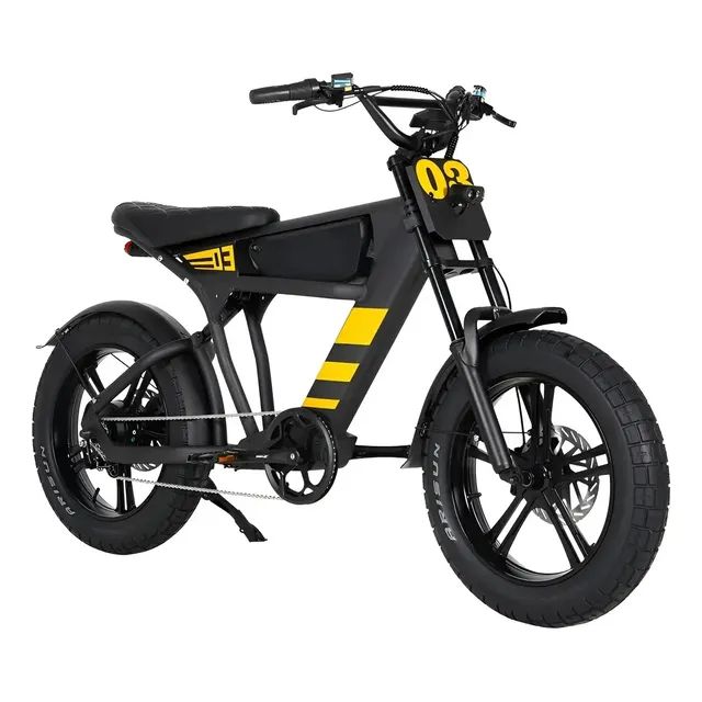 Bicicleta Elétrica Ft03 E-mountain Bike 1000w Potente Preto 20